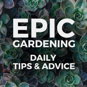 Epic Garden Podcast