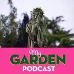 Gardening podcast sunflowers