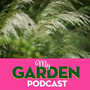 Garden Podcast plants and shrubs