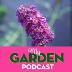 Gardening podcast ornamental grasses