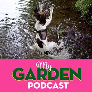 Gardening podcast with dogs