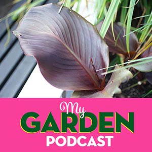 Canna get a witness - My Garden Podcast