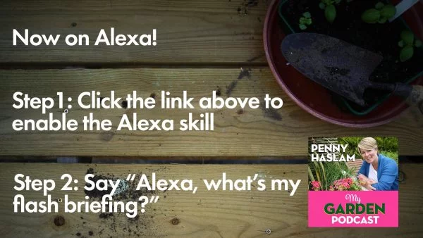 My Garden Podcast on Alexa