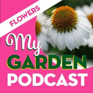 My Garden Podcast flowers