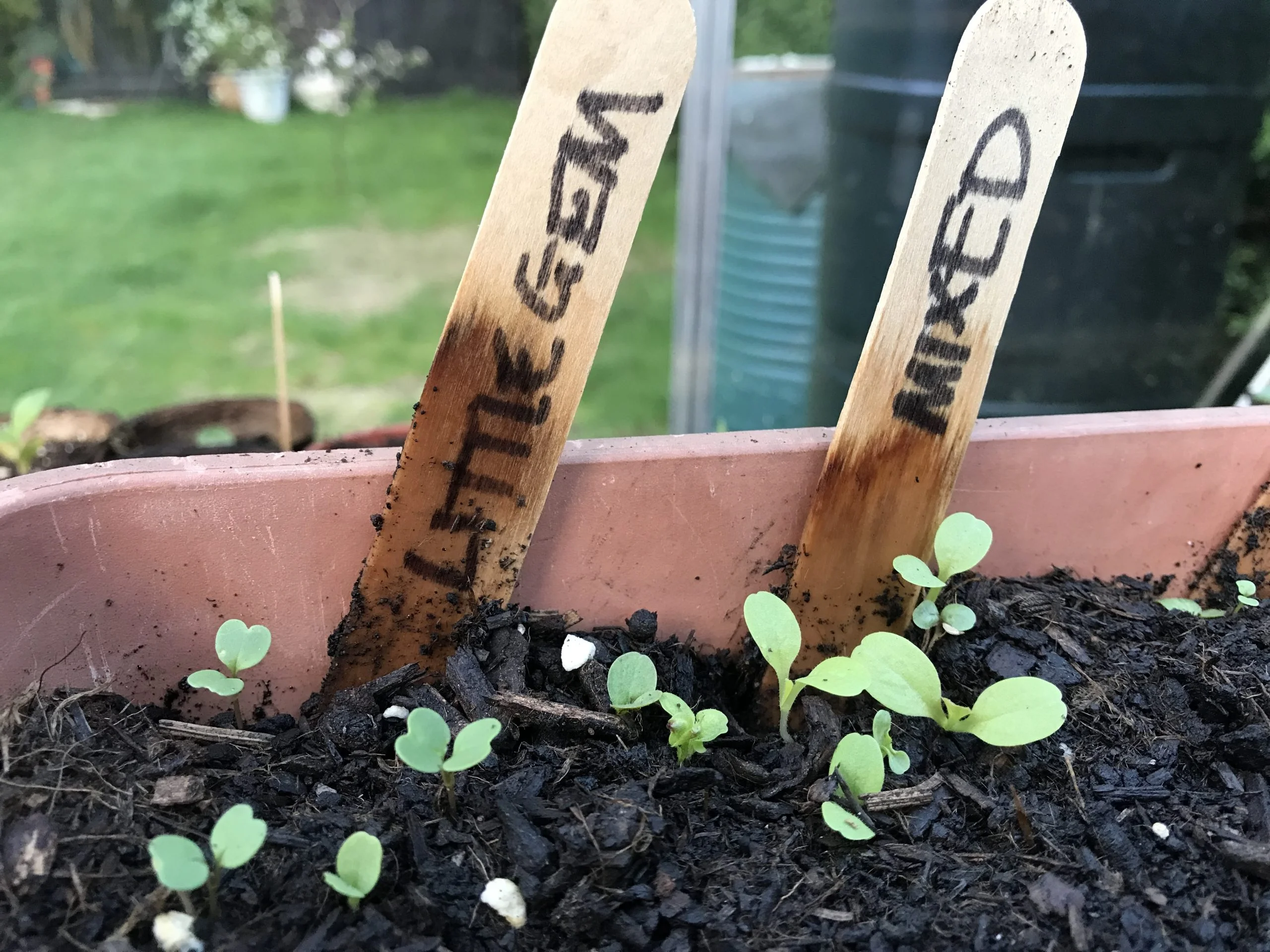 My Garden Podcast - Season three