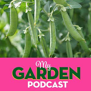 Peas please - No.5 Most listened to gardening podcast episode