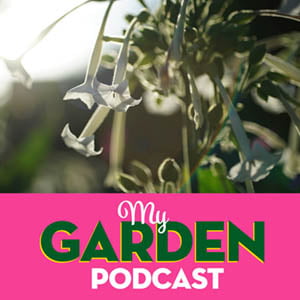 Gardening Podcast Nicotiana