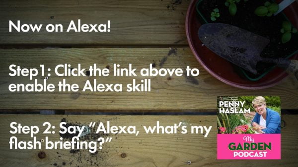 My Garden Podcast on Alexa